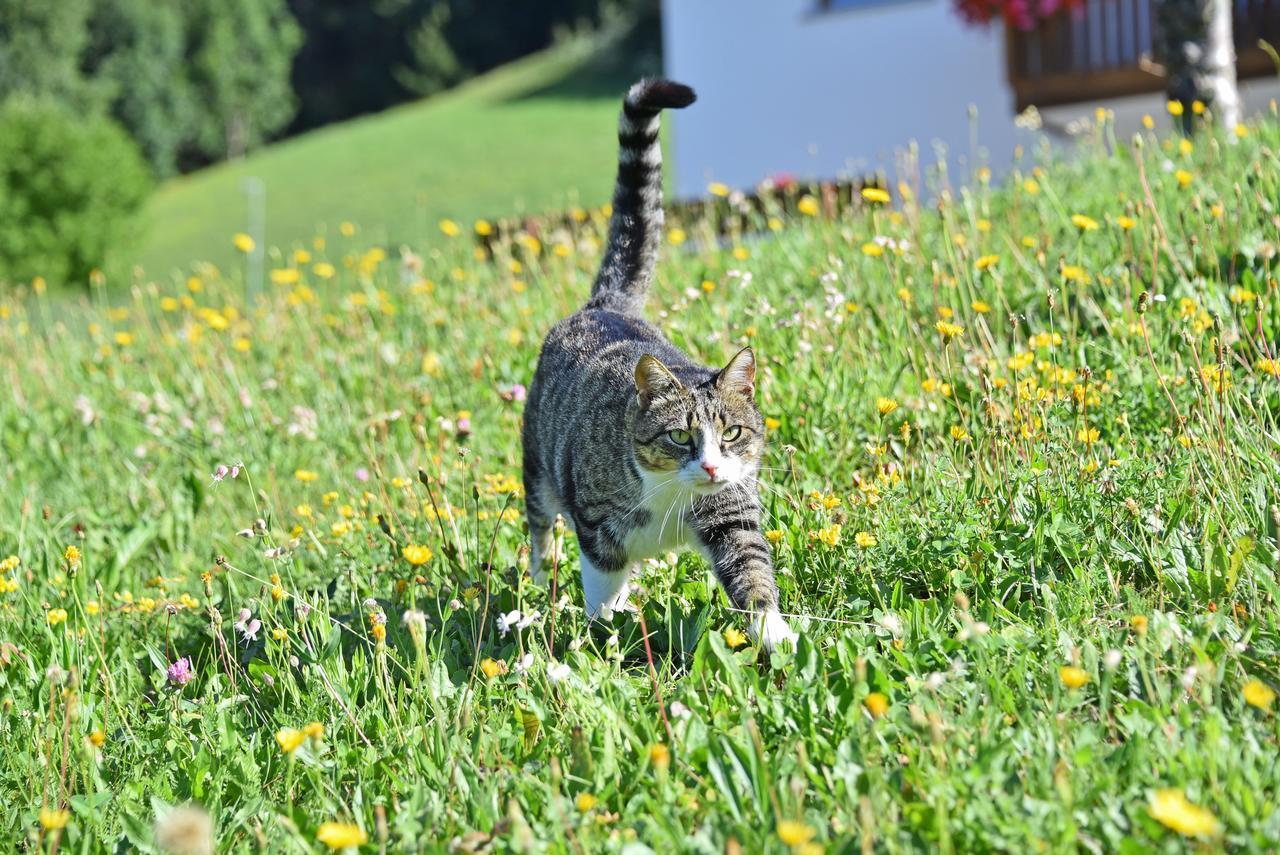 Fuchshof Villa Perca Bagian luar foto